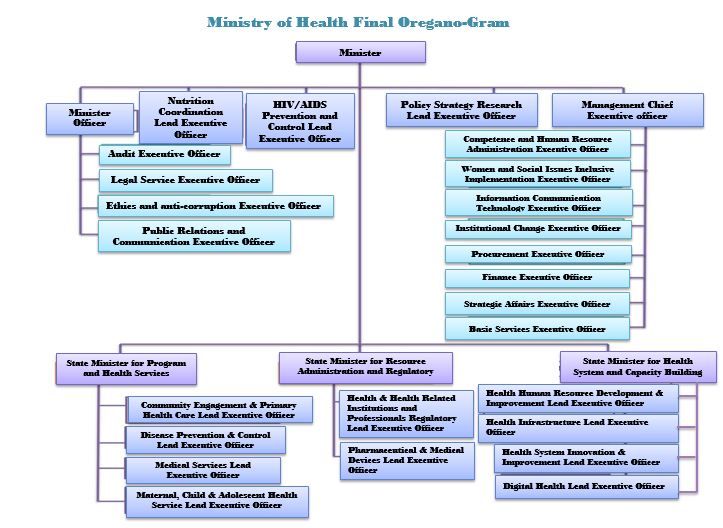 MOH ORGANIZATIONAL STRUCTURE visual data 4
